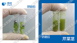 多樣品組織研磨機-192